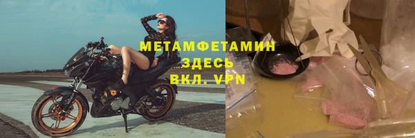 индика Волоколамск